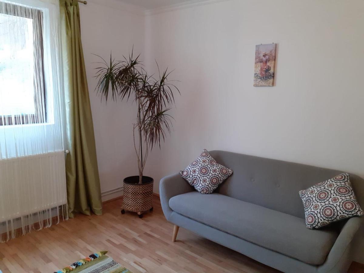 R-House Appartement Braşov Buitenkant foto