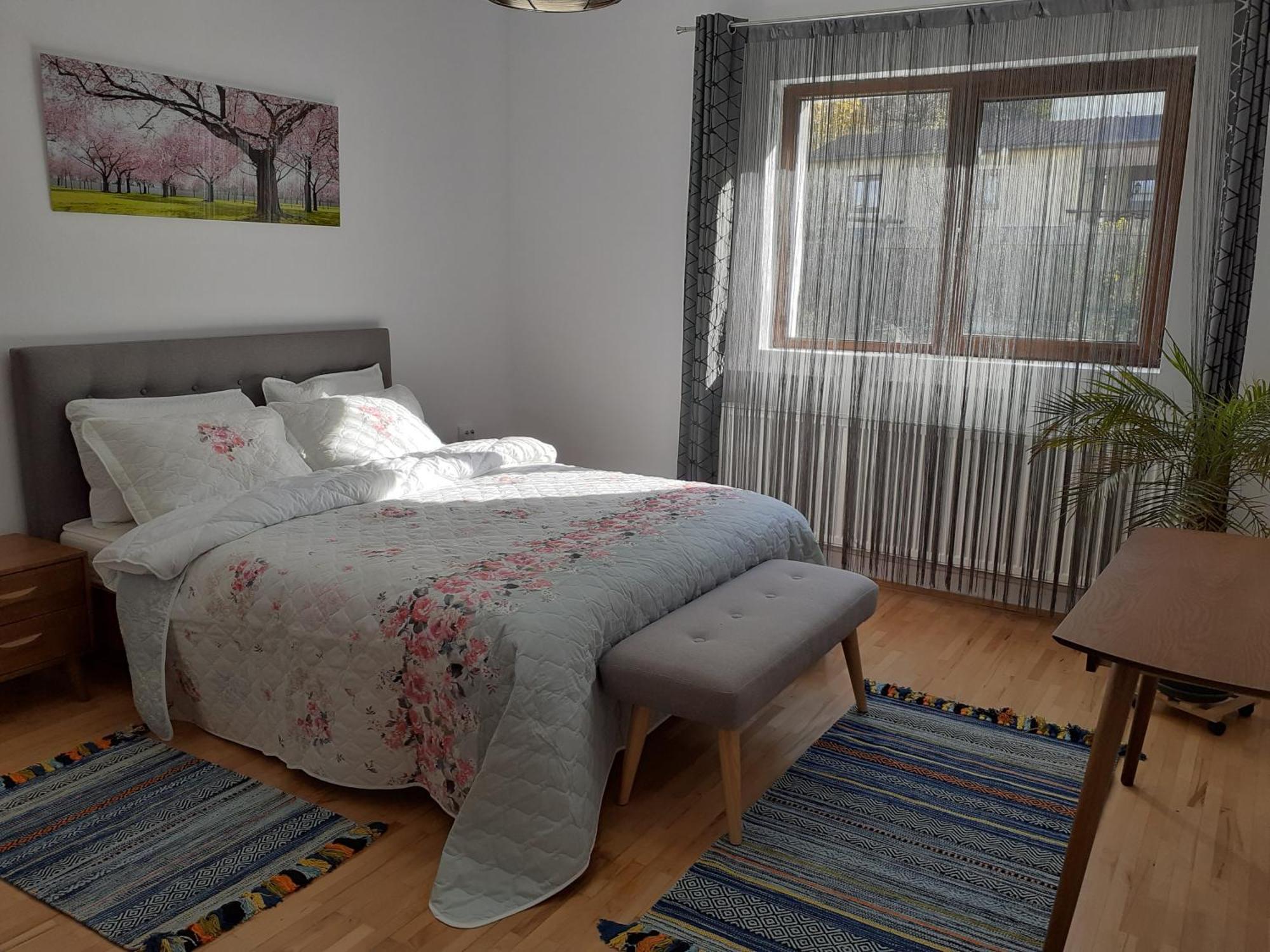 R-House Appartement Braşov Buitenkant foto