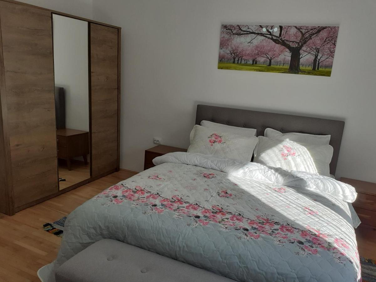 R-House Appartement Braşov Buitenkant foto